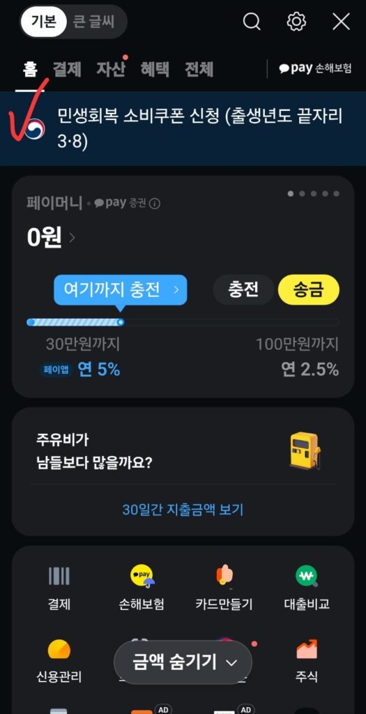 민생회복소비쿠폰 카카오페이 신청방법과 사용처 정리 4 민생회복소비쿠폰 카카오페이 신청2