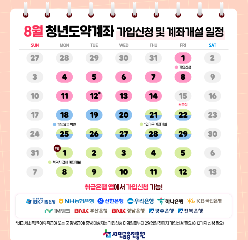 2025 청년도약계좌 변경사항 총정리|소득별 혜택·부분인출·정부기여금 받는 꿀팁 2 2025 청년도약계좌