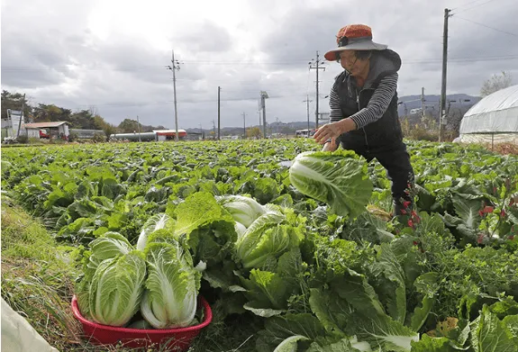 농어촌기본소득 시범지역 조건 및 신청하는 법: 월 15만 원 혜택 총정리 2 농어촌기본소득 시범지역 조건 및 신청하는 법